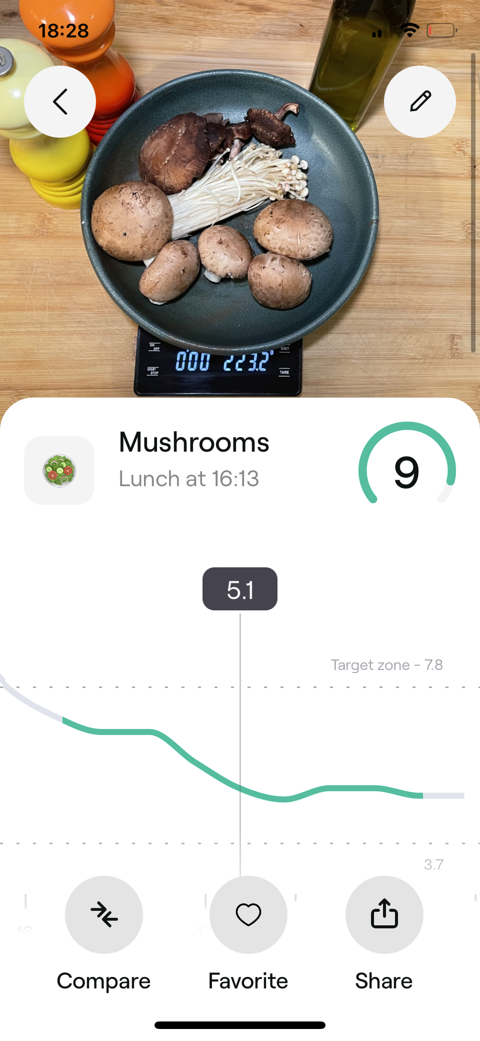 Mushrooms. Experiment by our expert
