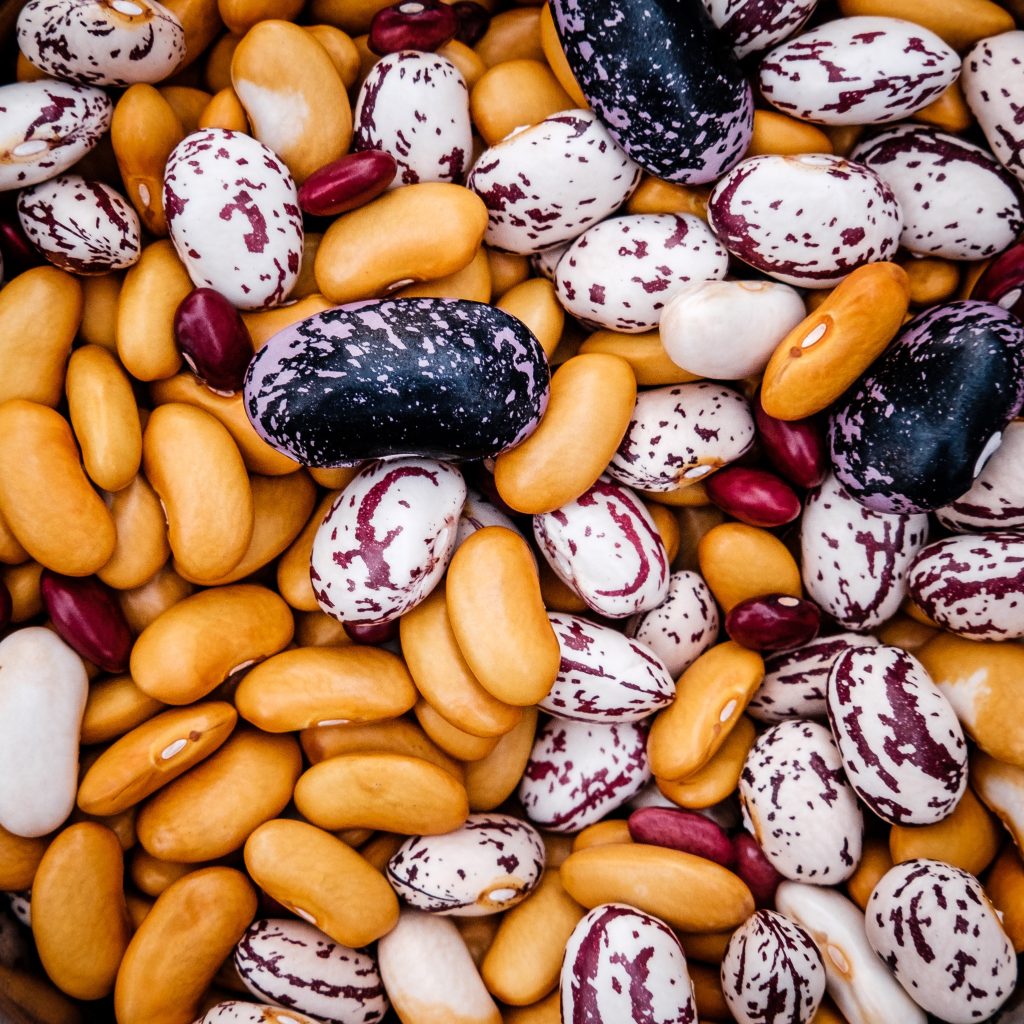 Beans,Diet,Health