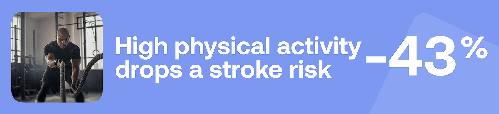 High physical activity drops a stroke risk -43%