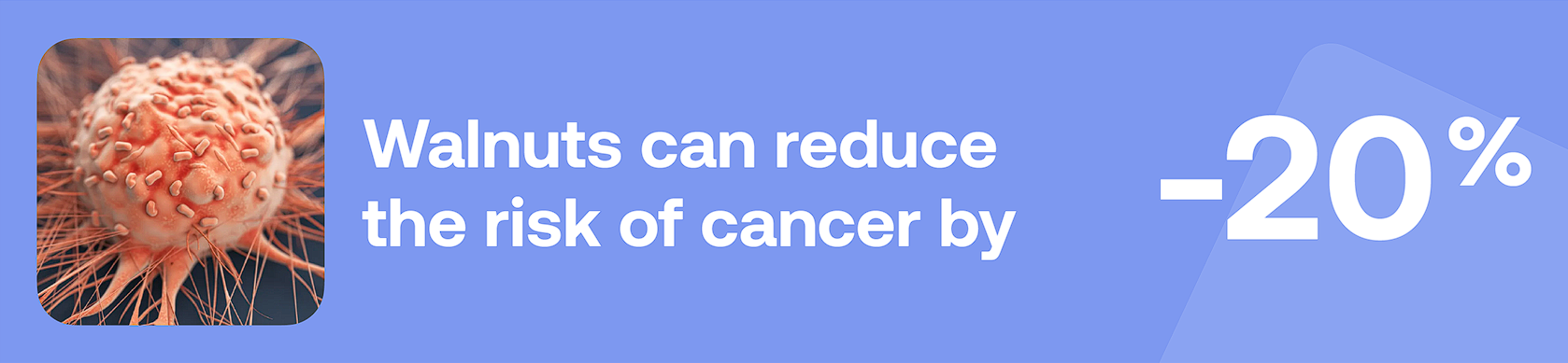 Walnuts can reduce the risk of cancer by -20%