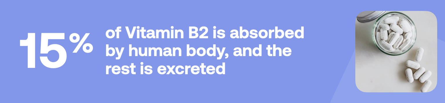 15% of Vitamin B2 is absorbed by human body, and the rest is excreted