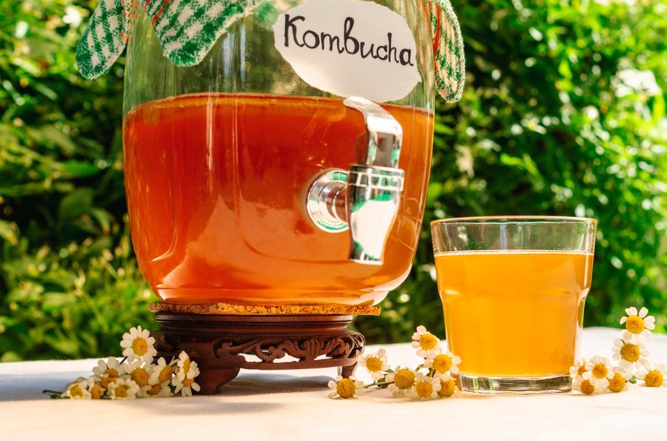 Enjoyable alternative drinks to alcohol,Kombucha,Nutrition