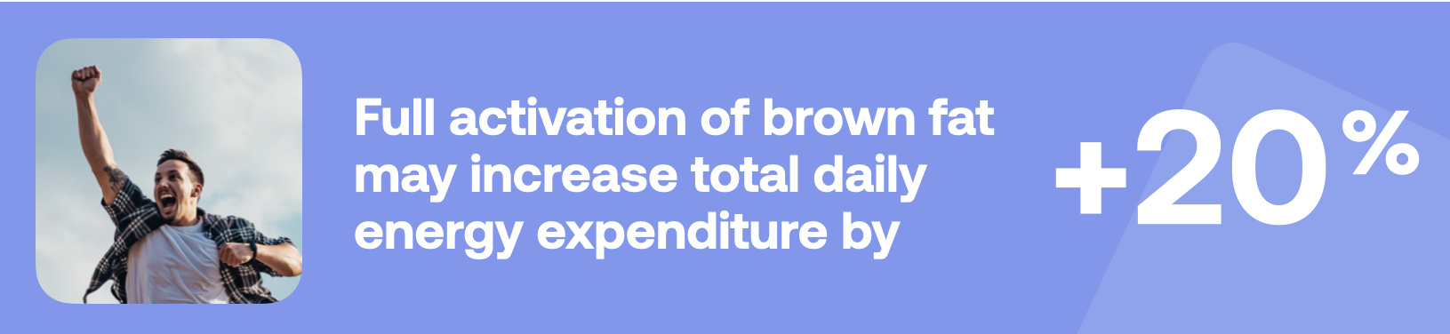 Full activation of brown fat may increase total daily energy expenditure by +20%