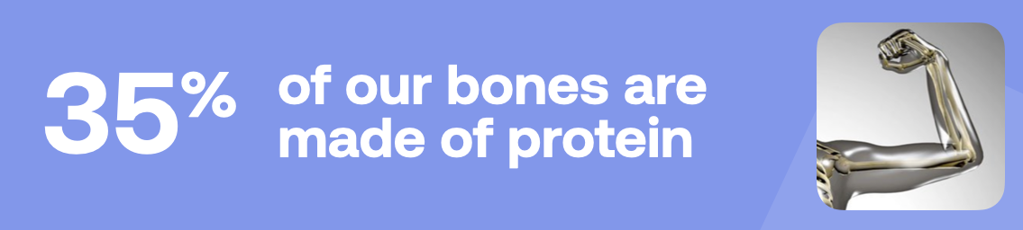 35% of our bones are made of protein