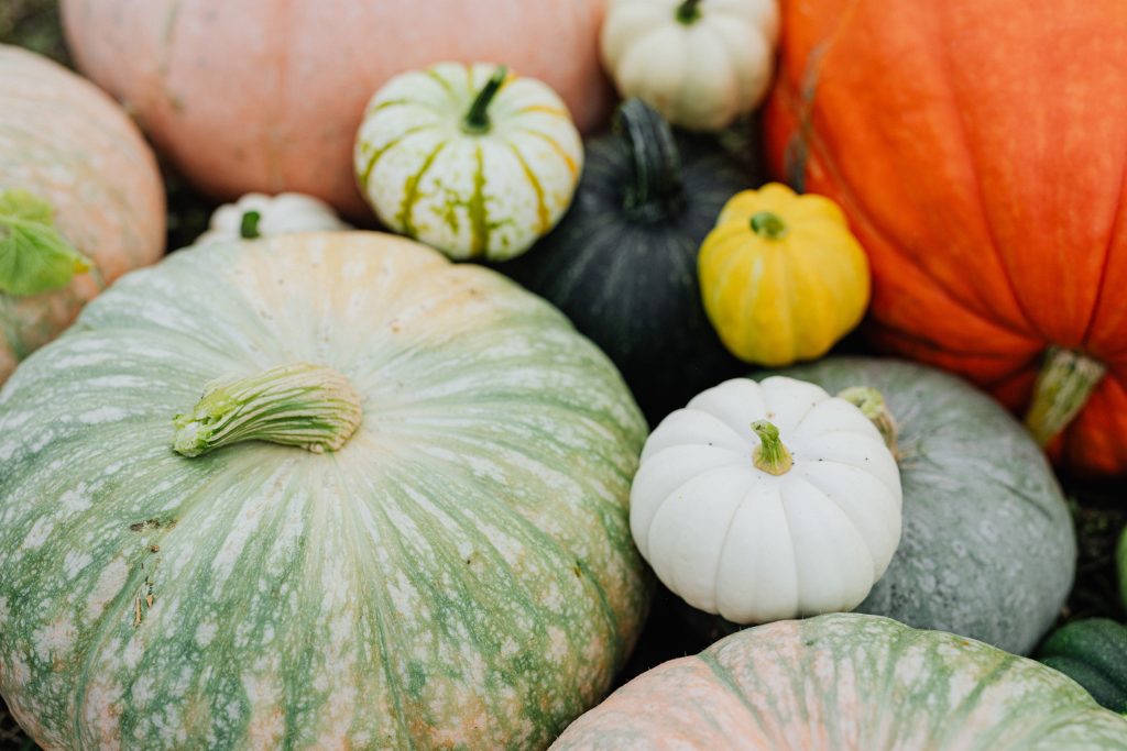 pumpkin food health benefits