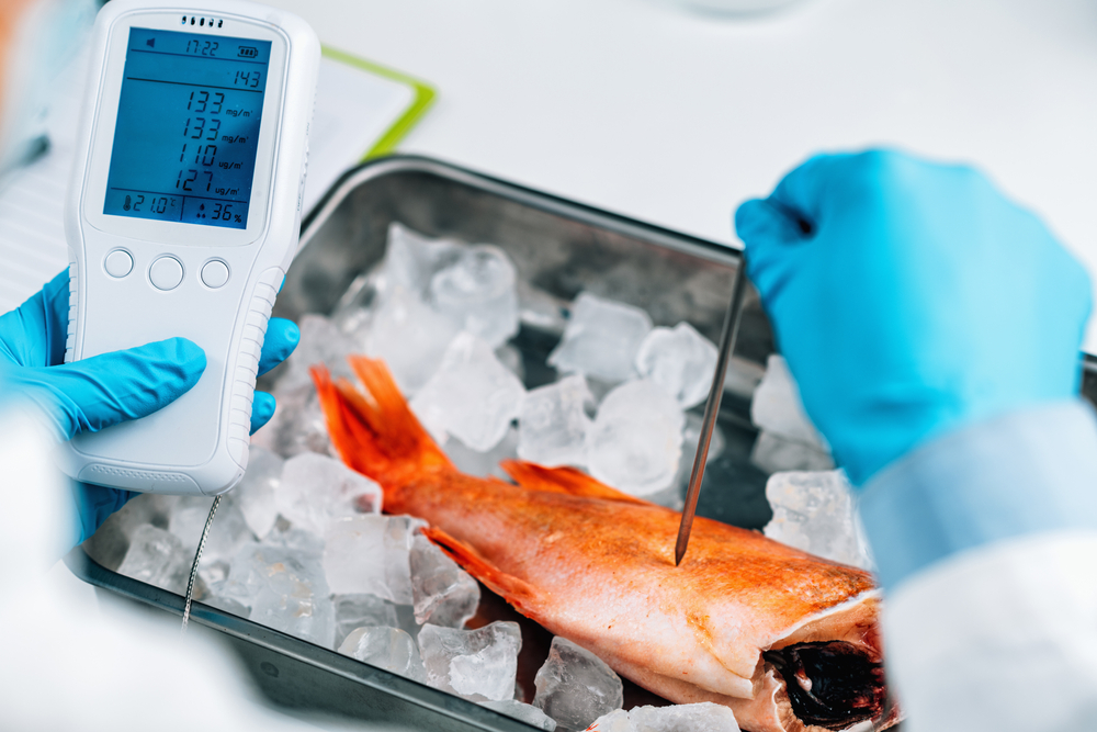Food,Quality,Control,Inspection,Of,Sea,Fish,-,Measuring,Concentrations